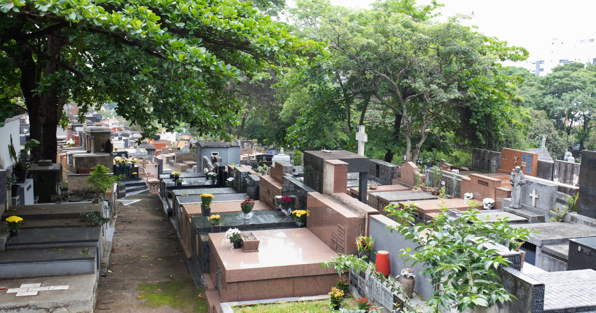cem_vila_mariana_consolare